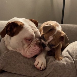 Sam & Josephine's Profile Image