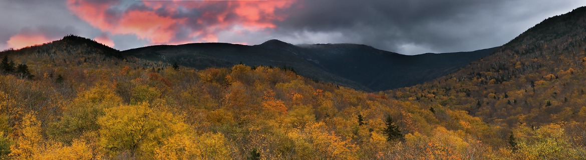 Pacing for the Natural World Banner Image