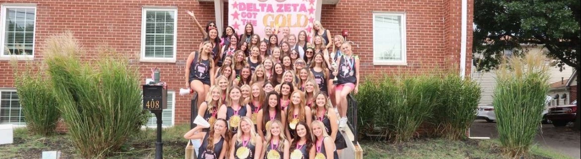 Delta Zeta SIU Banner Image