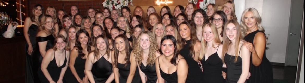 Alpha Gamma Delta SIU Banner Image