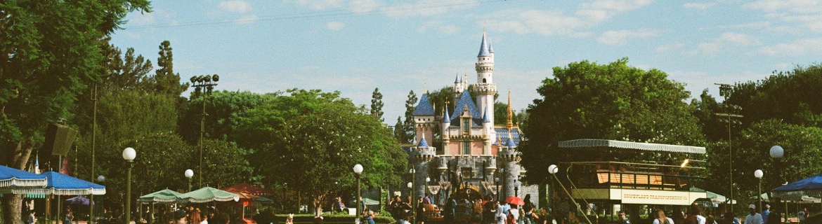 Chris Lindsay + WWF + Disney Princess 5k 2026 Banner Image