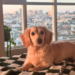 Mac's Profile Image