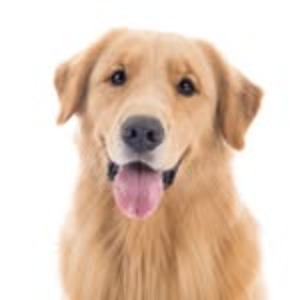 San Diego's Profile Image