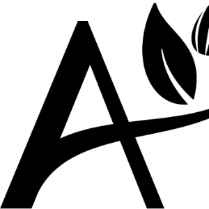Jenn's Profile Image