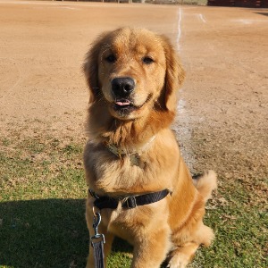 Kennedy Carter's Profile Image