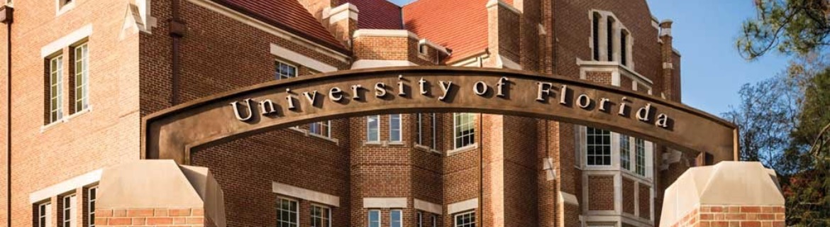 Avery Bauer - Alpha Delta Pi Banner Image