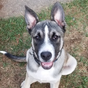 Jody's Profile Image