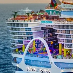 Cruise's Profile Image