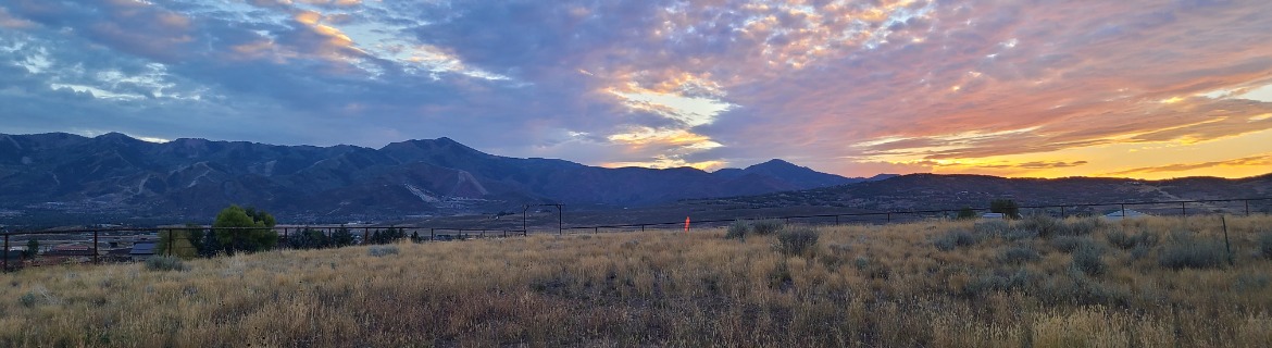 In Memory of Dawn Young Banner Image