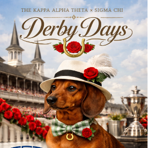 Noah's Profile Image