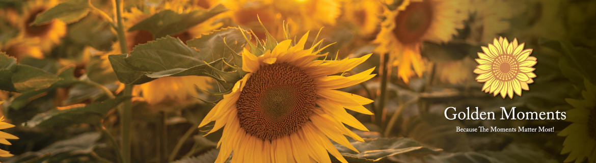Golden Moments Banner Image