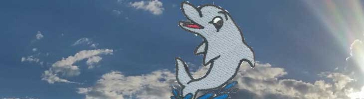 Riding with a Porpoise Banner Image