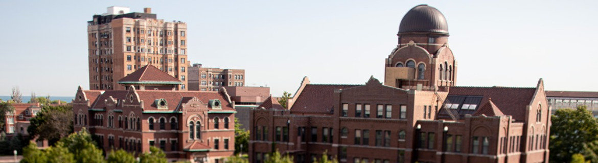 Alpha Delta Pi - LUC Banner Image