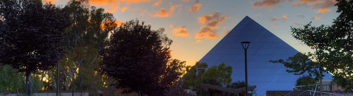 California State University - Long Beach Banner Image
