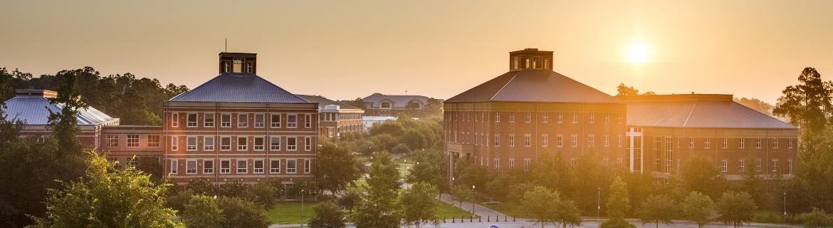 Georgia Southern University Banner Image