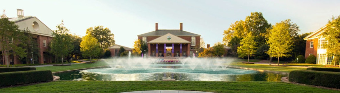 Furman University Banner Image