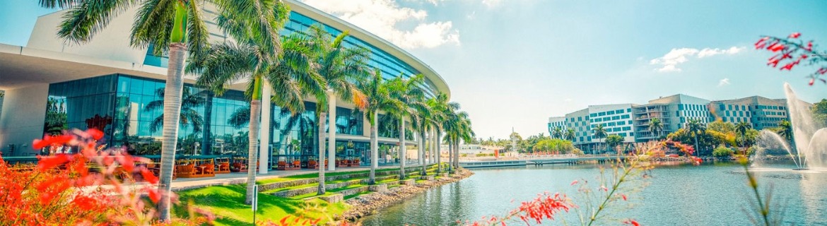 University of Miami Banner Image