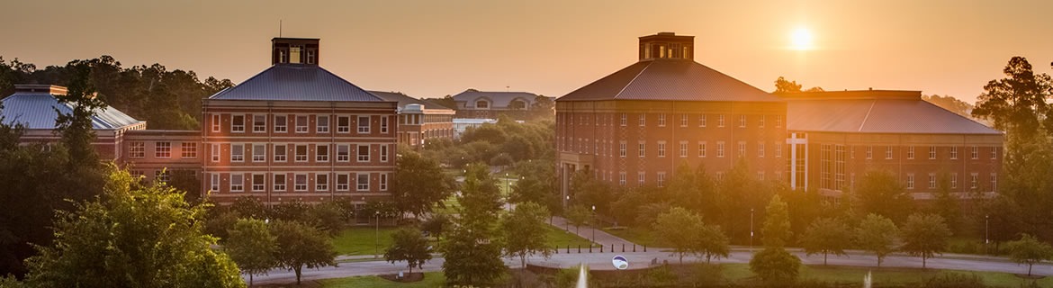 Georgia Southern University Banner Image
