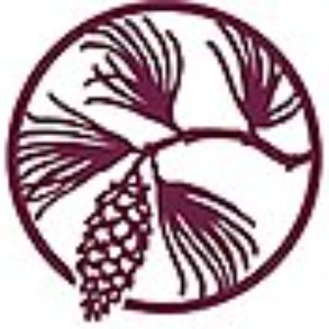 's Profile Image