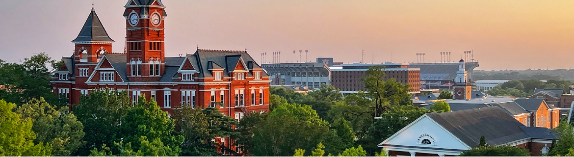 Auburn University Banner Image