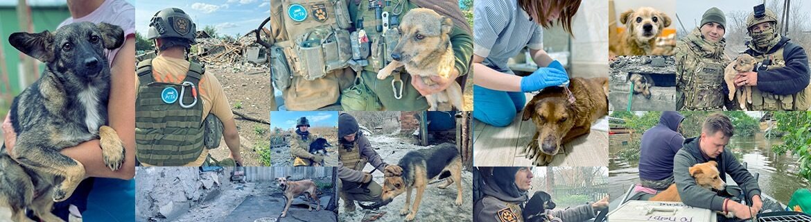 Help Power Ingrid’s Walk for Animals in Ukraine Banner Image