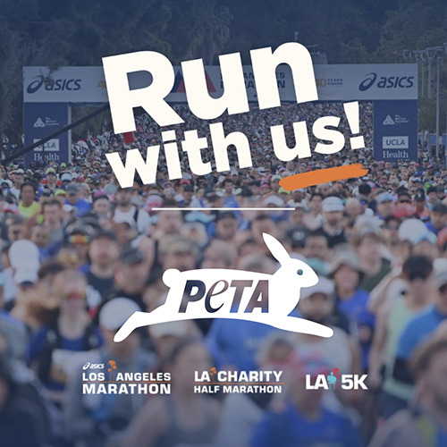 PETA Pack Philadelphia Marathon