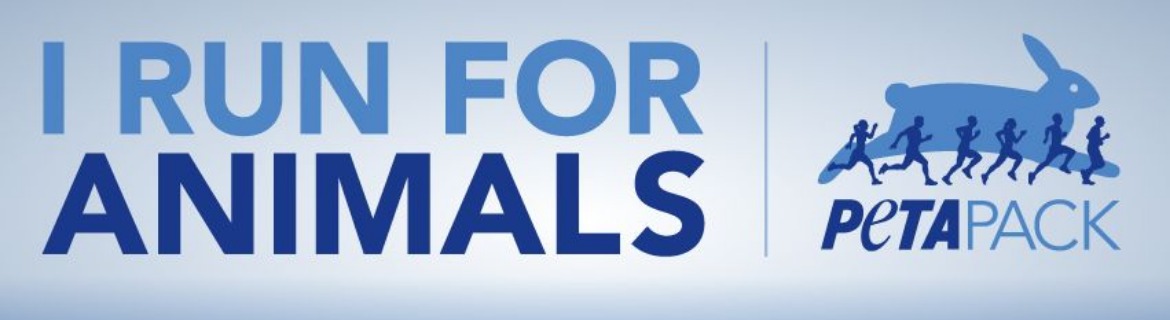 London Marathon: Traveling over 4,262.6 miles to run 26.2 miles for animals on 4/26/26 Banner Image