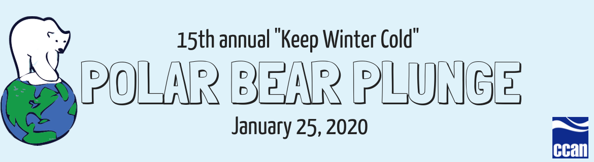 Polar Bear Plunge 2020
