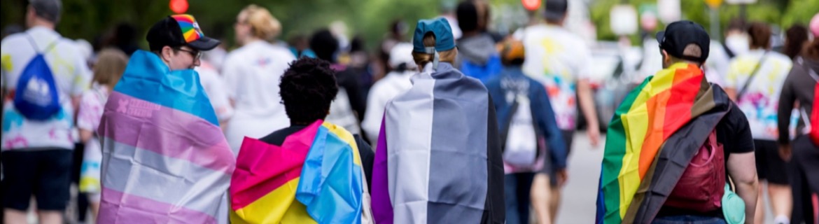 Avalon Bay Associate Rainbow Coalition Banner Image