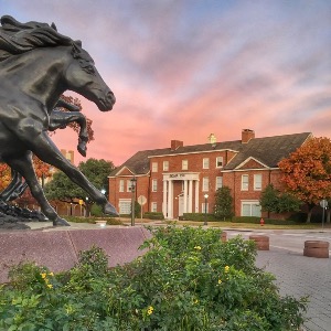 Grant's Profile Image