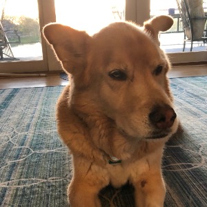 Larry's Profile Image
