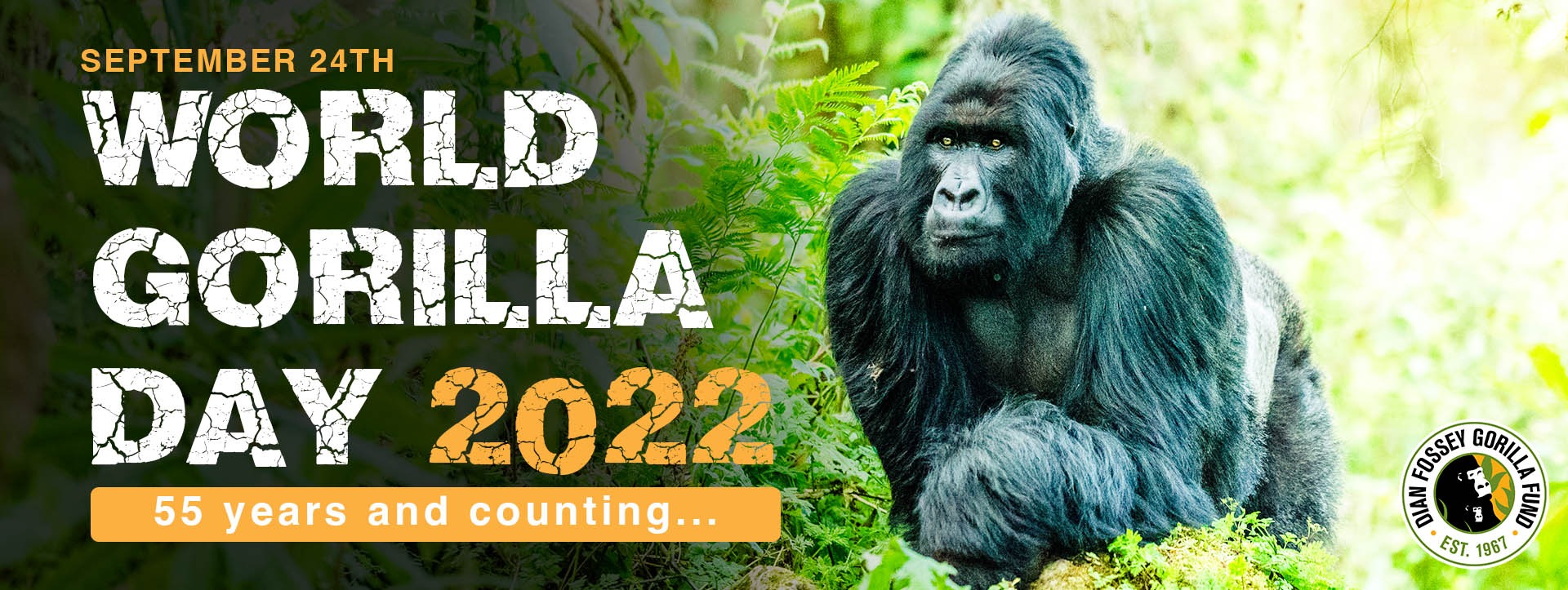 World Gorilla Day 2022