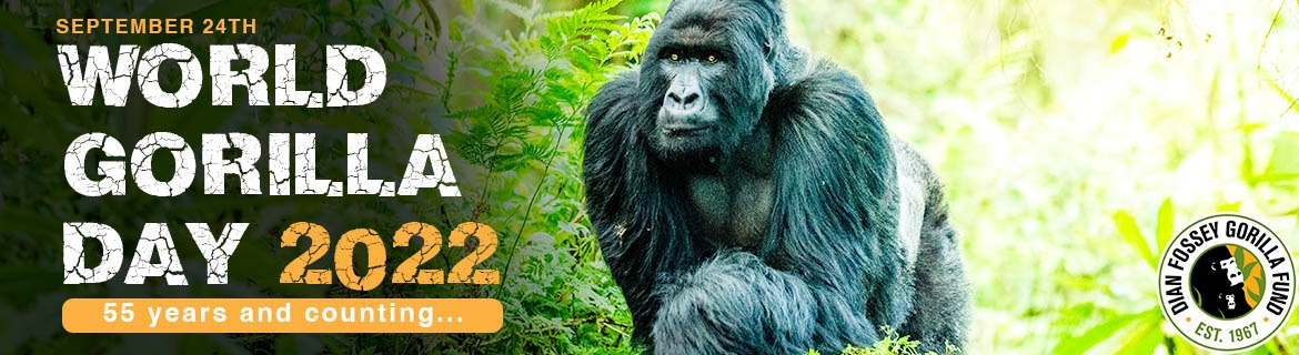 World Gorilla Day 2022 Banner Image