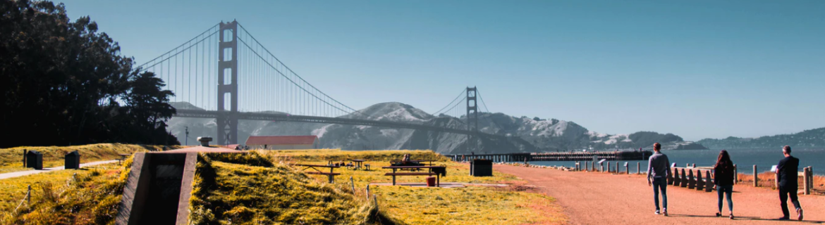Brightening the Bay Banner Image