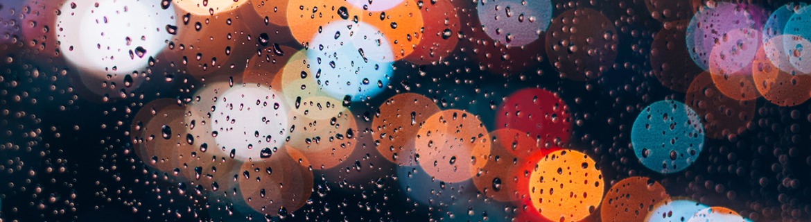 Paige Wiebler Banner Image