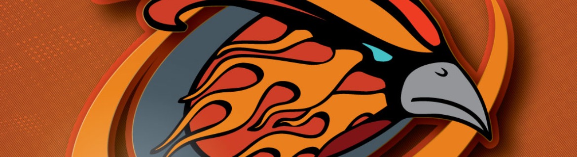 Phoenix Force Banner Image