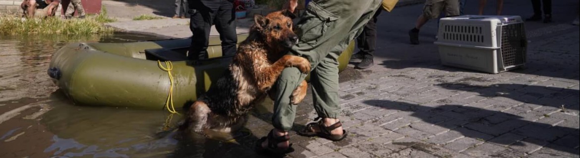 31 Miles for The Global Compassion Fund Banner Image