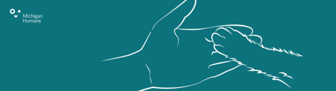 Freeway Fund Banner Image